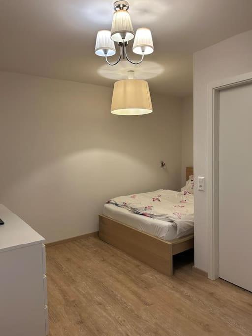 Boardinghouse Rheinfelden 1 *